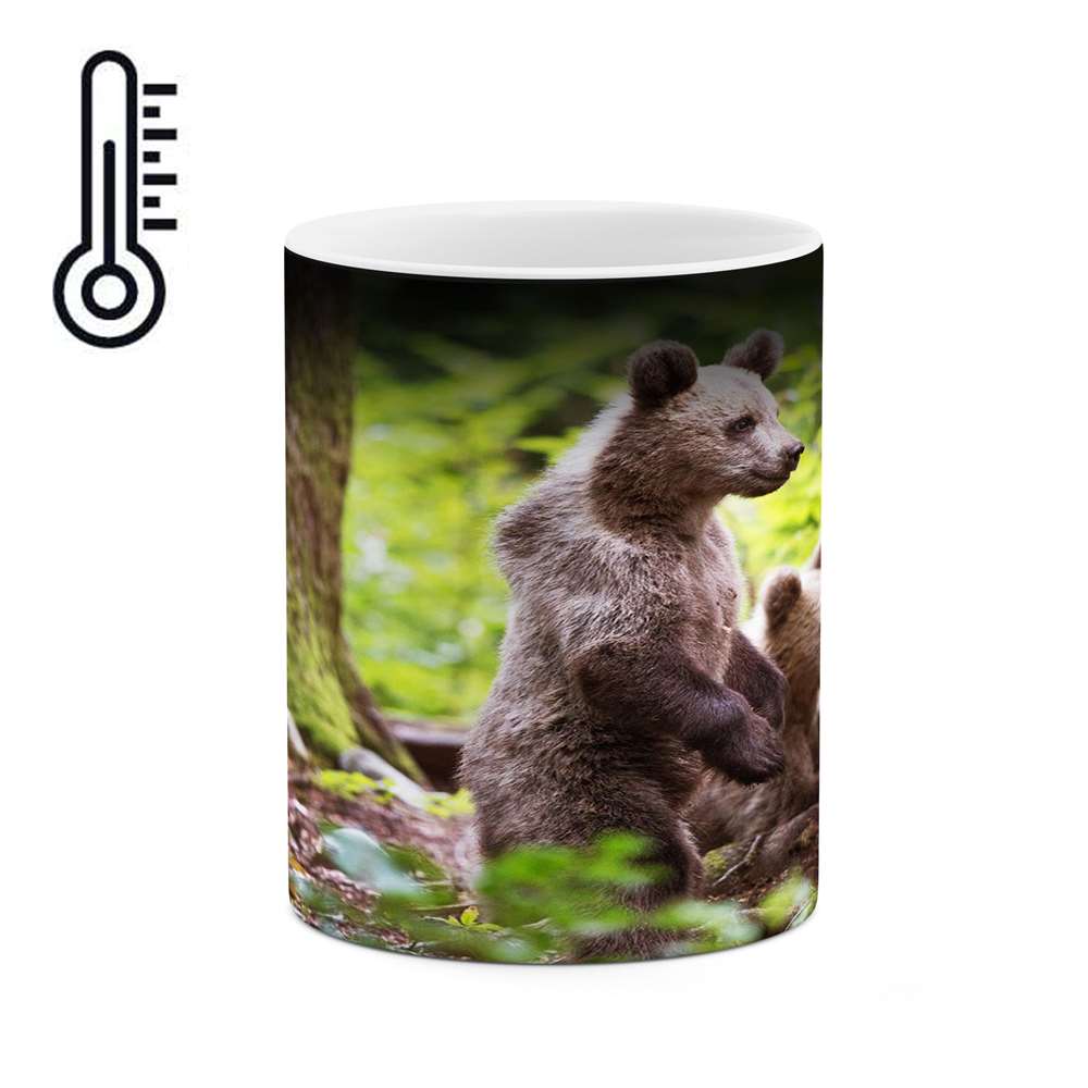 ماگ حرارتی کاکتی طرح خرس مدل mgh17107