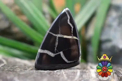 سپتارین مراکش اصل و طبیعی