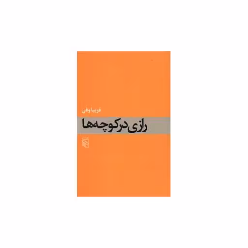 کتاب رازی در کوچه‌ها اثر فریبا وفی
