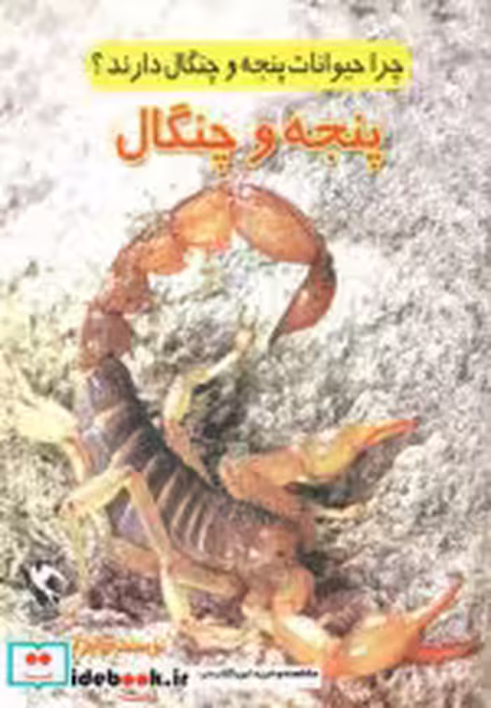 قیمت و خرید کتاب چرا حیوانات پنجه و چنگال دارند؟ | ایده بوک