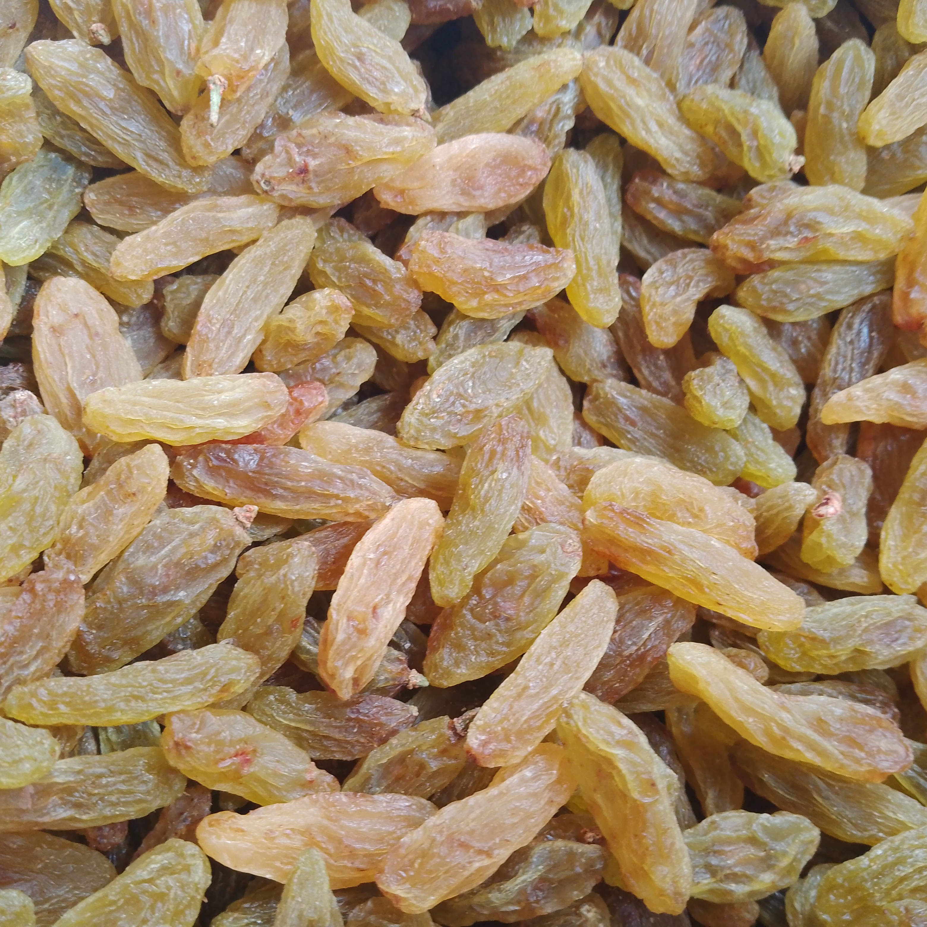 کشمش سبز قلمی کاشمر ( کیفیت بالا ) 500 گرمی