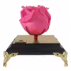گل رز جاودان گلد رز مدل PINK 154