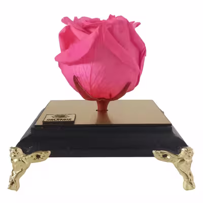 گل رز جاودان گلد رز مدل PINK 154