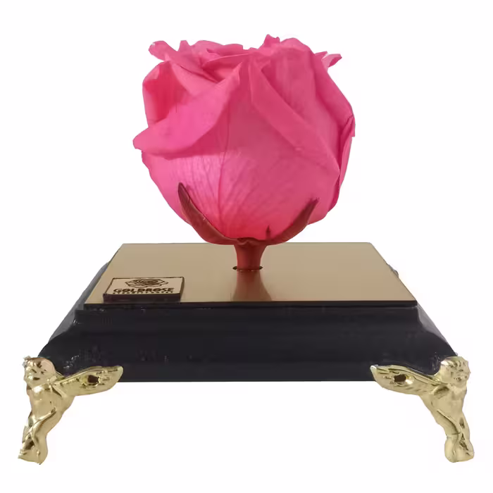 گل رز جاودان گلد رز مدل PINK 154