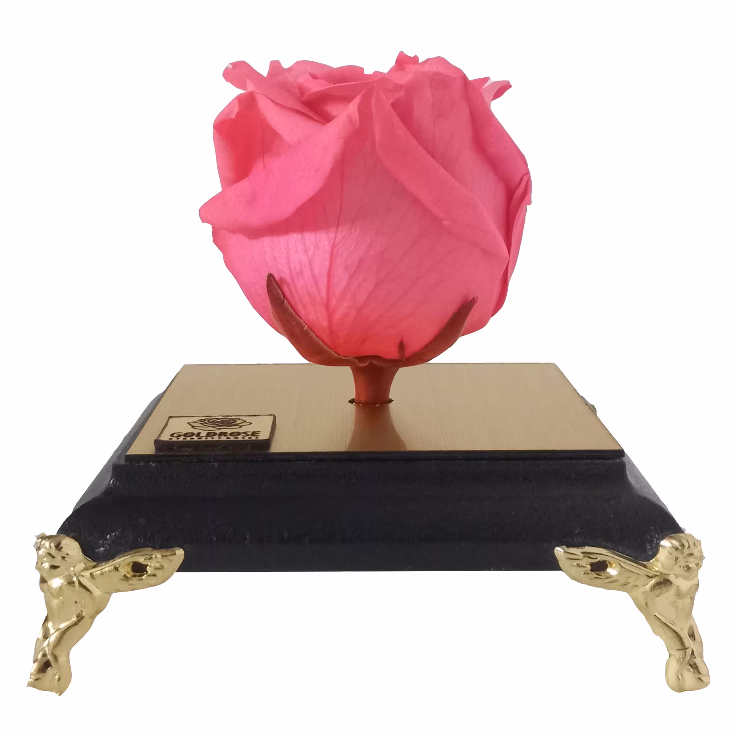 گل رز جاودان گلد رز مدل PINK 154