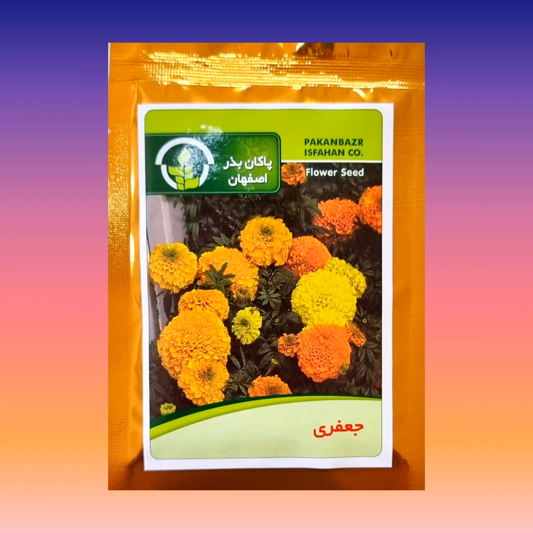 بذر گل جعفری پاکان بذر اصفهان