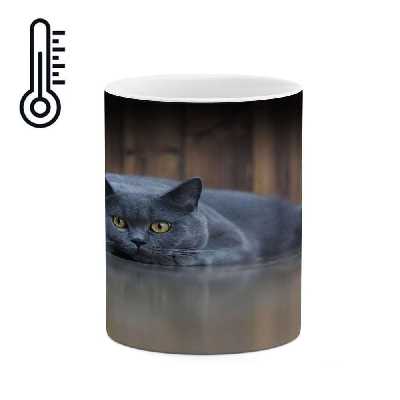 ماگ حرارتی کاکتی طرح گربه مدل mgh14160