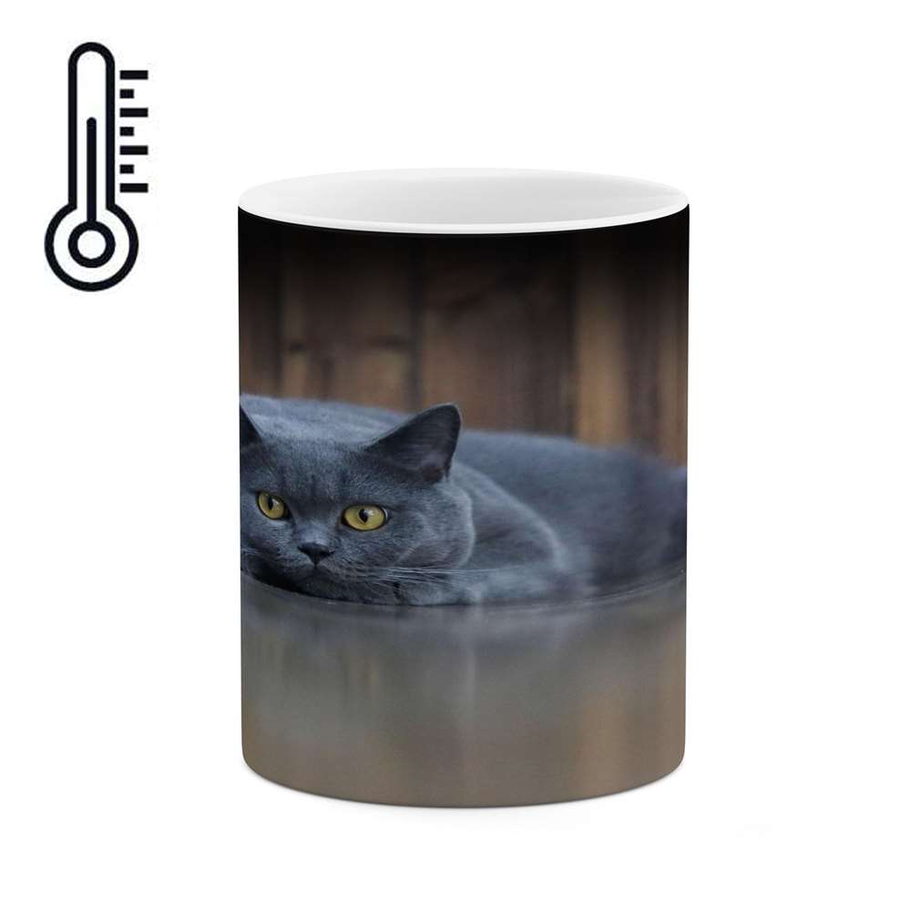 ماگ حرارتی کاکتی طرح گربه مدل mgh14160