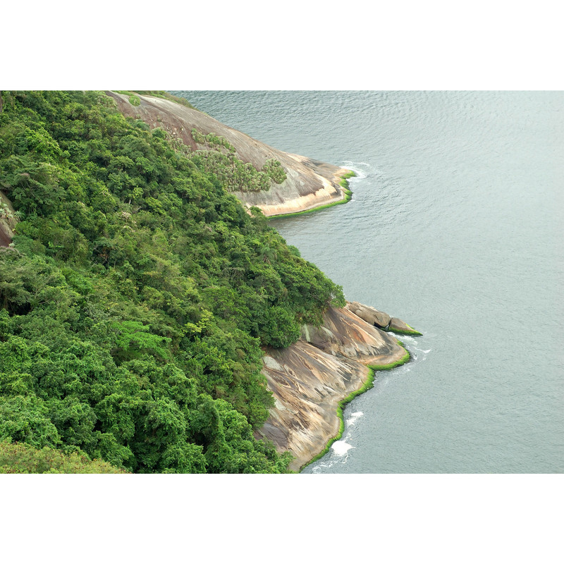 تابلو شاسی مدل دریا و درخت T7125 | دنیای قاب