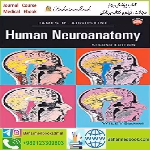 Human Neuroanatomy 2017 TRUE PDF price 1€ - کتاب پزشکی بهار