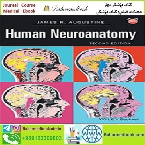 Human Neuroanatomy 2017 TRUE PDF price 1€ - کتاب پزشکی بهار