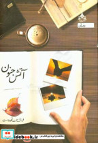 قیمت و خرید کتاب آتش جنون اثر فرشته تات شهدوست | ایده بوک
