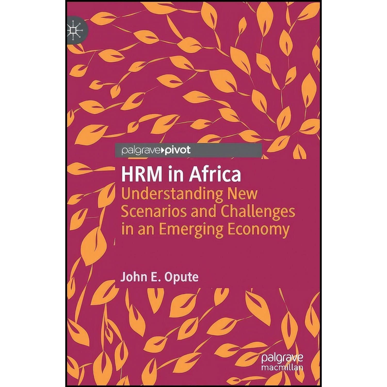 کتاب زبان اصلی HRM in Africa اثر John E Opute