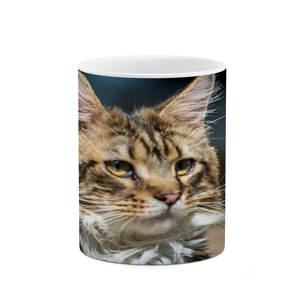 ماگ کاکتی طرح گربه مدل mgs16741