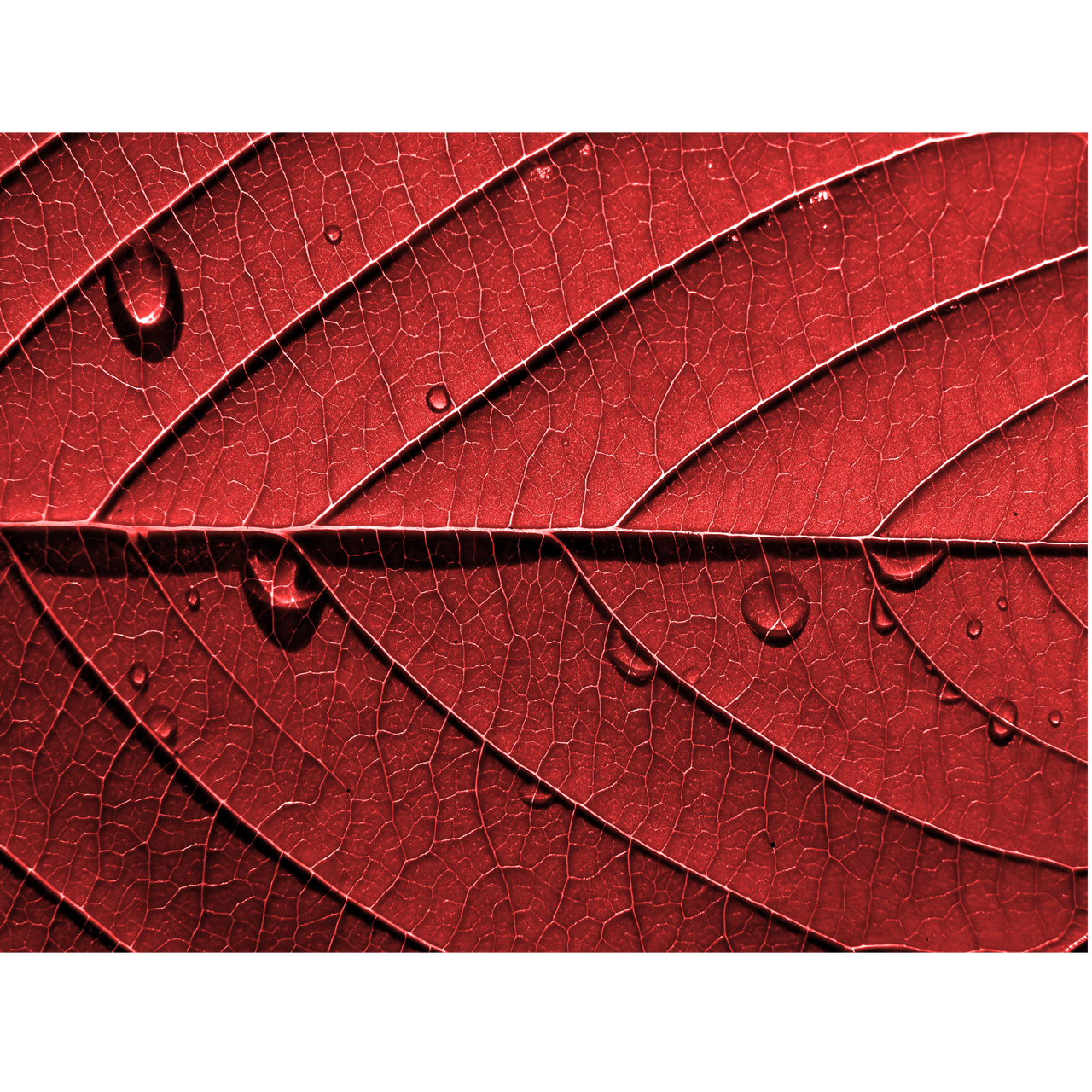 تابلو شاسی کد 360