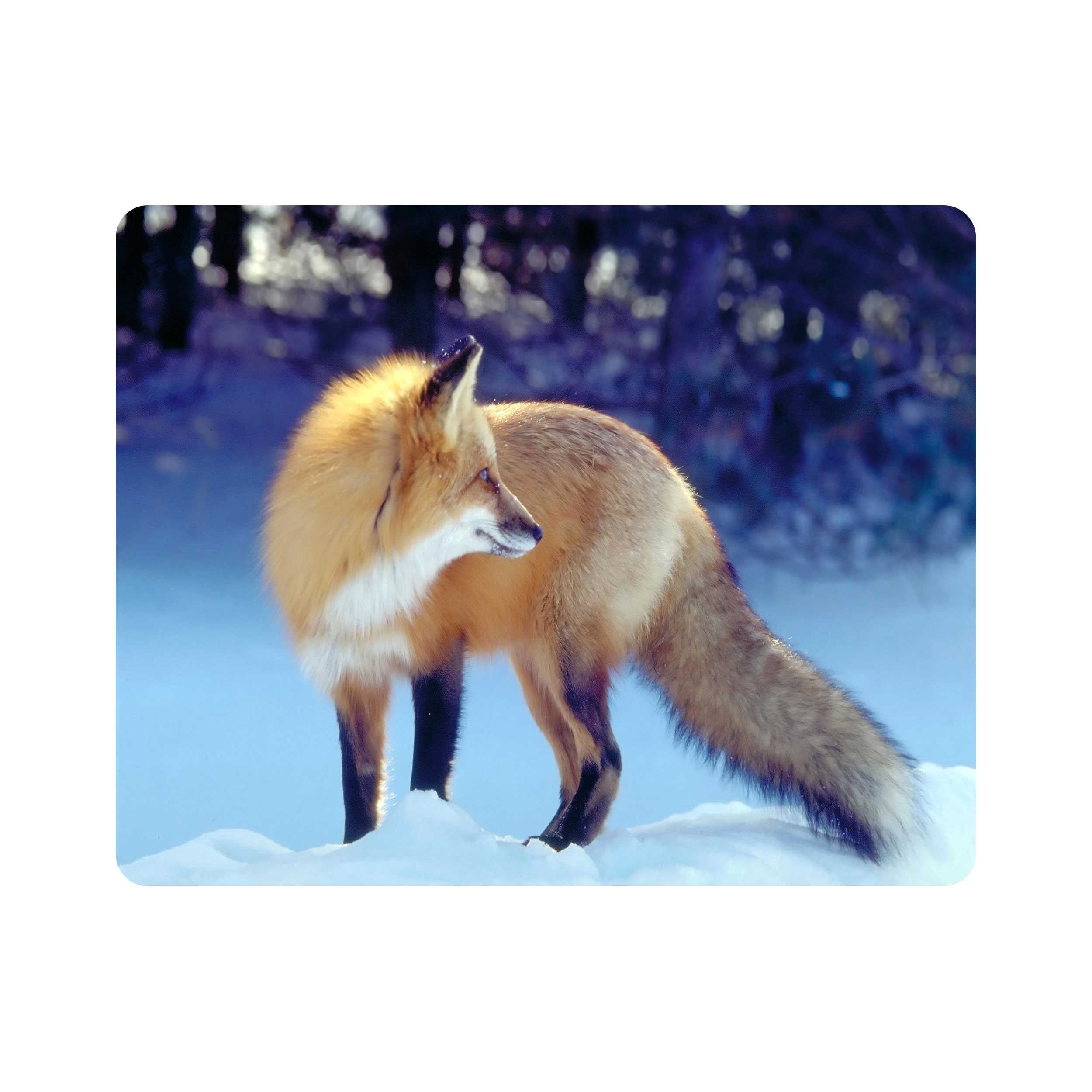 ماوس پد اطلس آبی طرح  روباه و برف  مدل T7229
