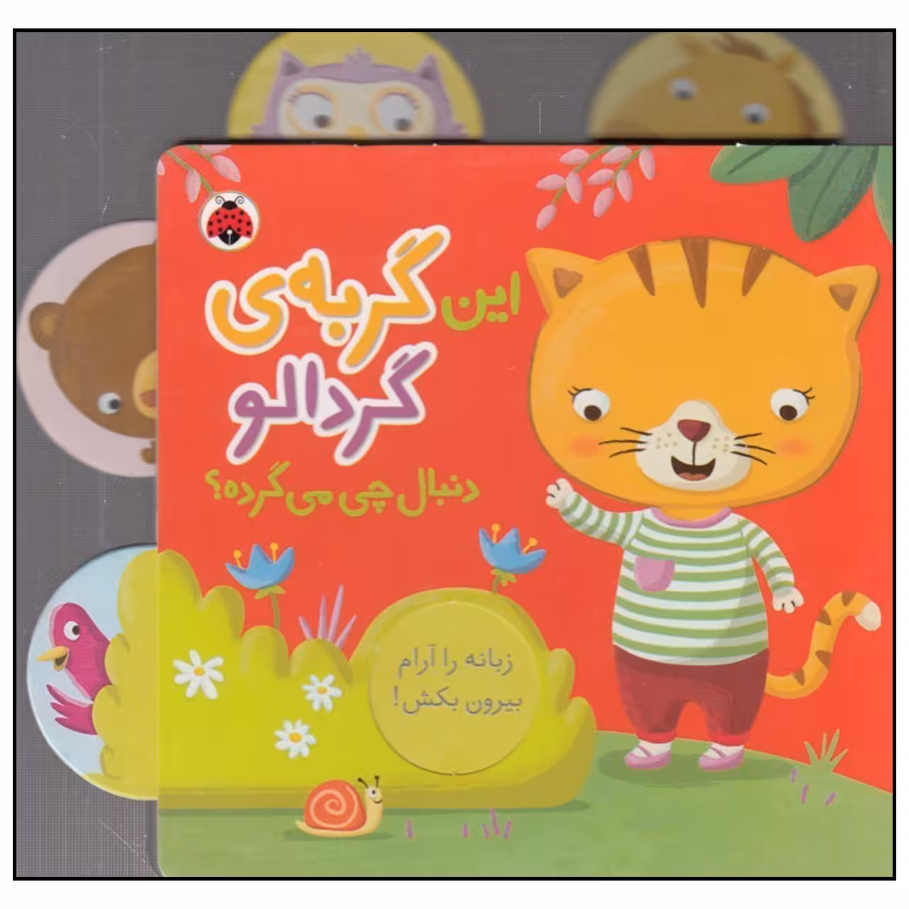 کتاب این گربه‌ی گردالو دنبال چی می‌گرده اثر جنی هو انتشارات شهر قلم