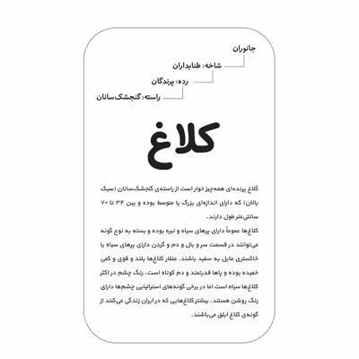 فلش کارت آشنایی با پرندگان انتشارات اندیشه کهن