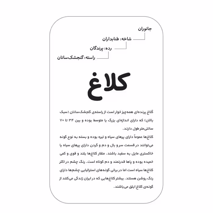 فلش کارت آشنایی با پرندگان انتشارات اندیشه کهن