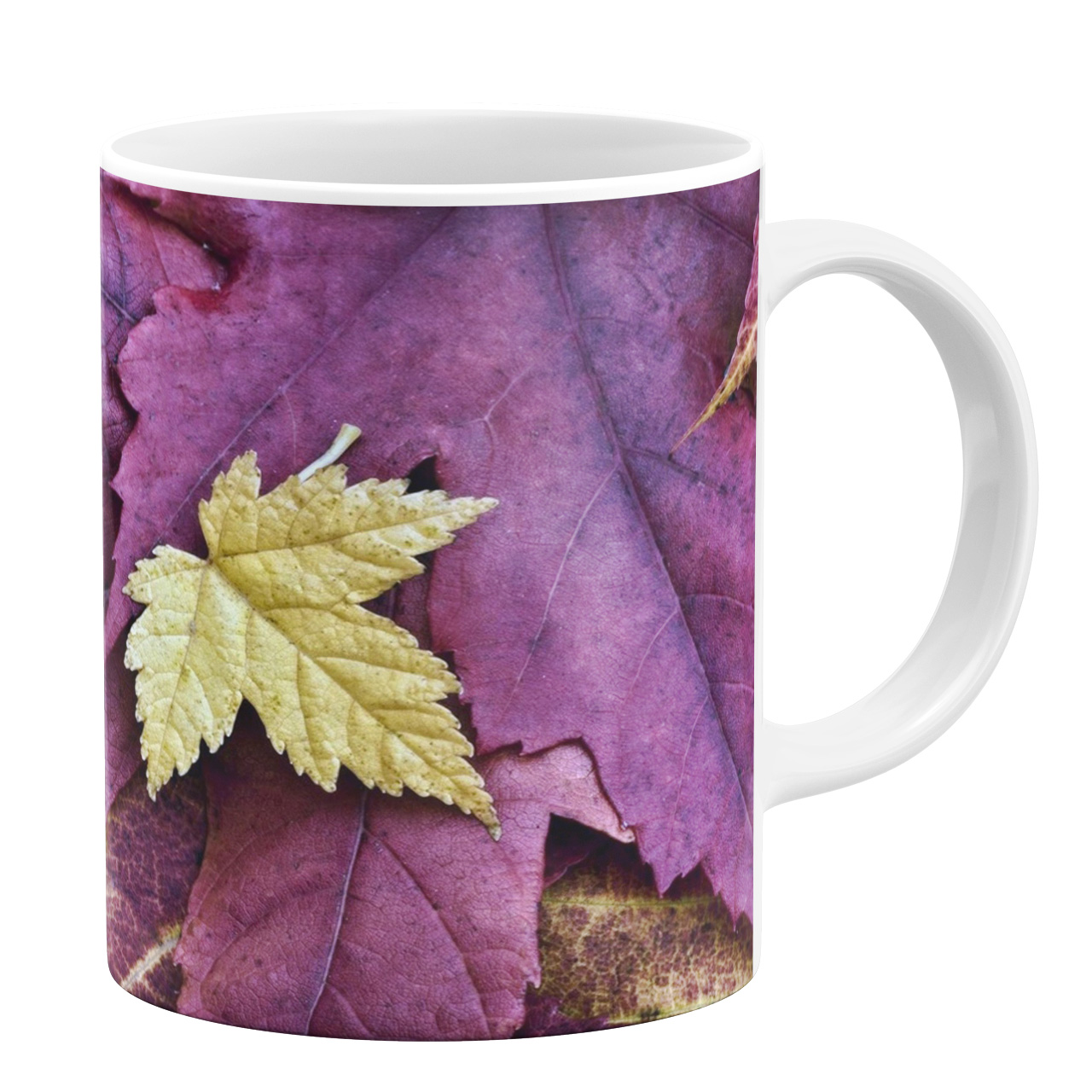 ماگ طرح برگ کد 110037