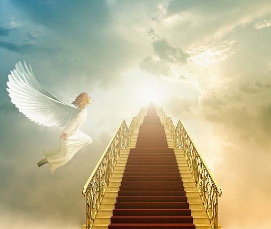 تحقیق همه چیز در مورد بهشت