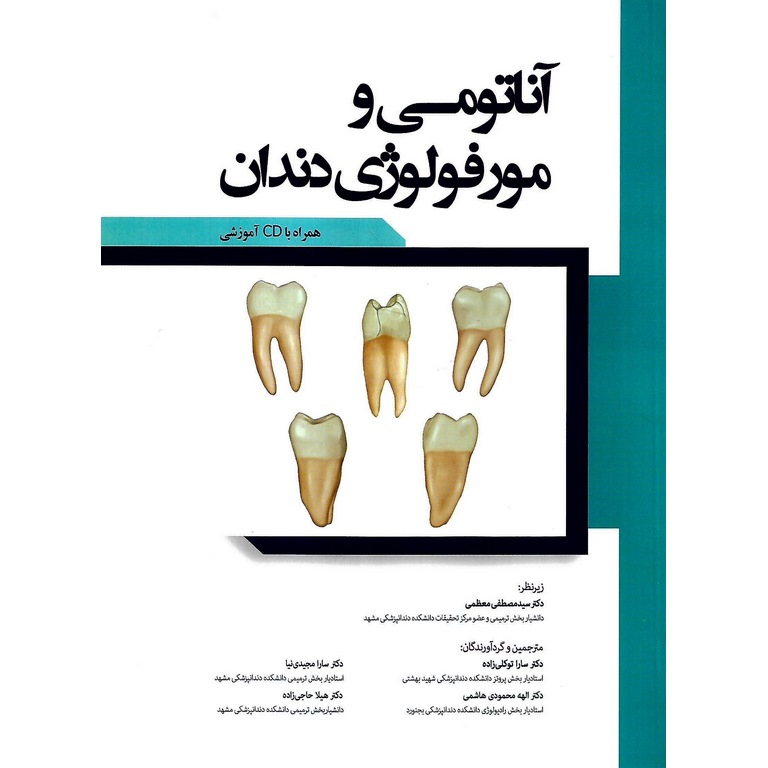 آناتومی و مورفولوژی دندان