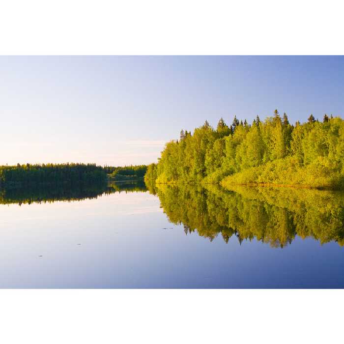 تابلو شاسی مدل دریا و درخت و آسمان T7108 | دنیای قاب