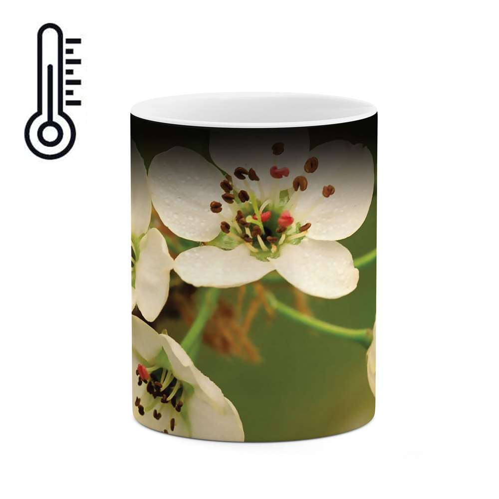 ماگ حرارتی طرح شکوفه گل مدل mgh04019