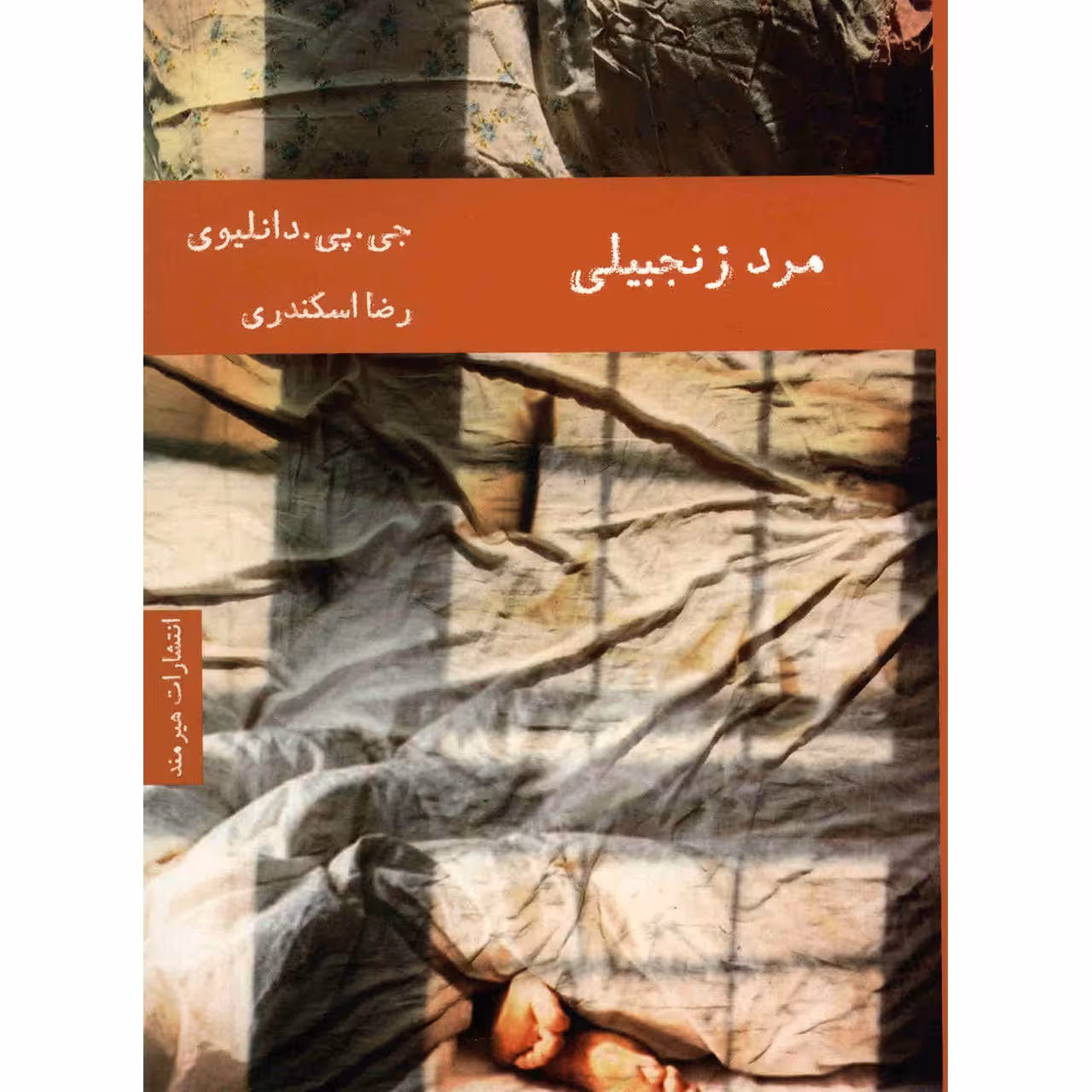 کتاب مرد زنجبیلی اثر جی. پی. دانلیوی