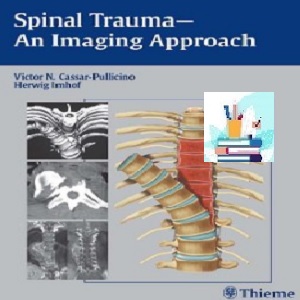 Spinal Trauma An Imaging Approach TRUE PDF price 1€