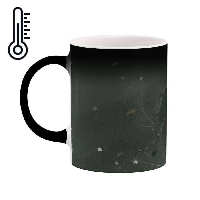 ماگ حرارتی کاکتی طرح فانتزی مدل mgh16459