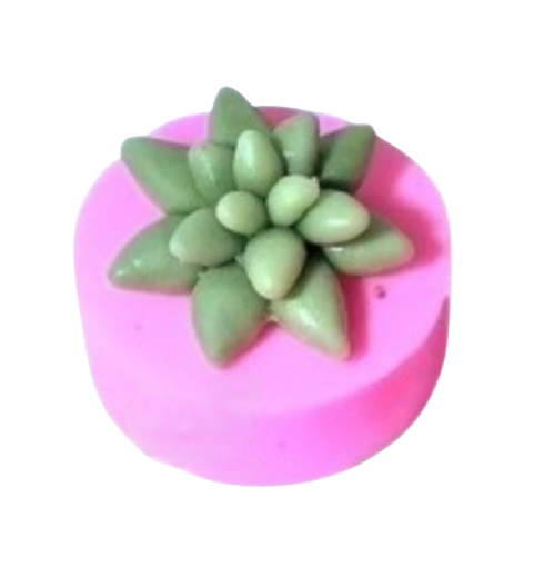 قالب سیلیکونی کاکتوس ستاره ای