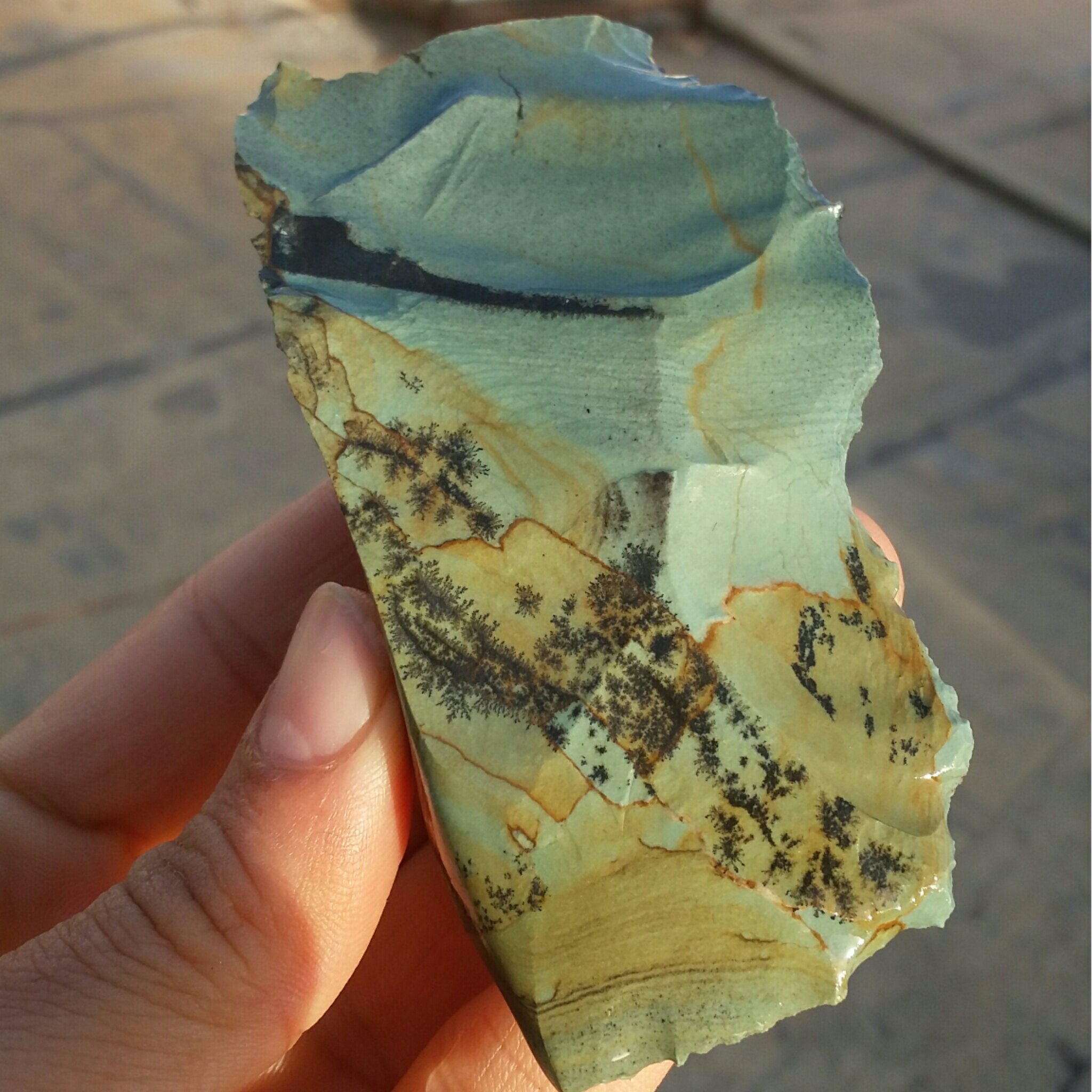 سنگ راف جاسپر منظره شجردار بسیار کمیاب 100 در 100 طبیعی شاهکار خلقت
تصویر از 3 طرف نمونه
با قابلیت ساخت چند نگین کد 9029