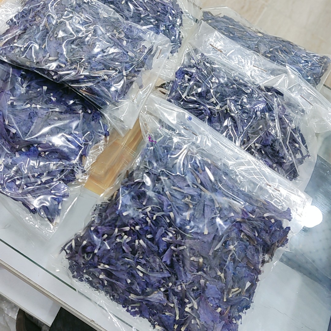 گل گاوزبان 