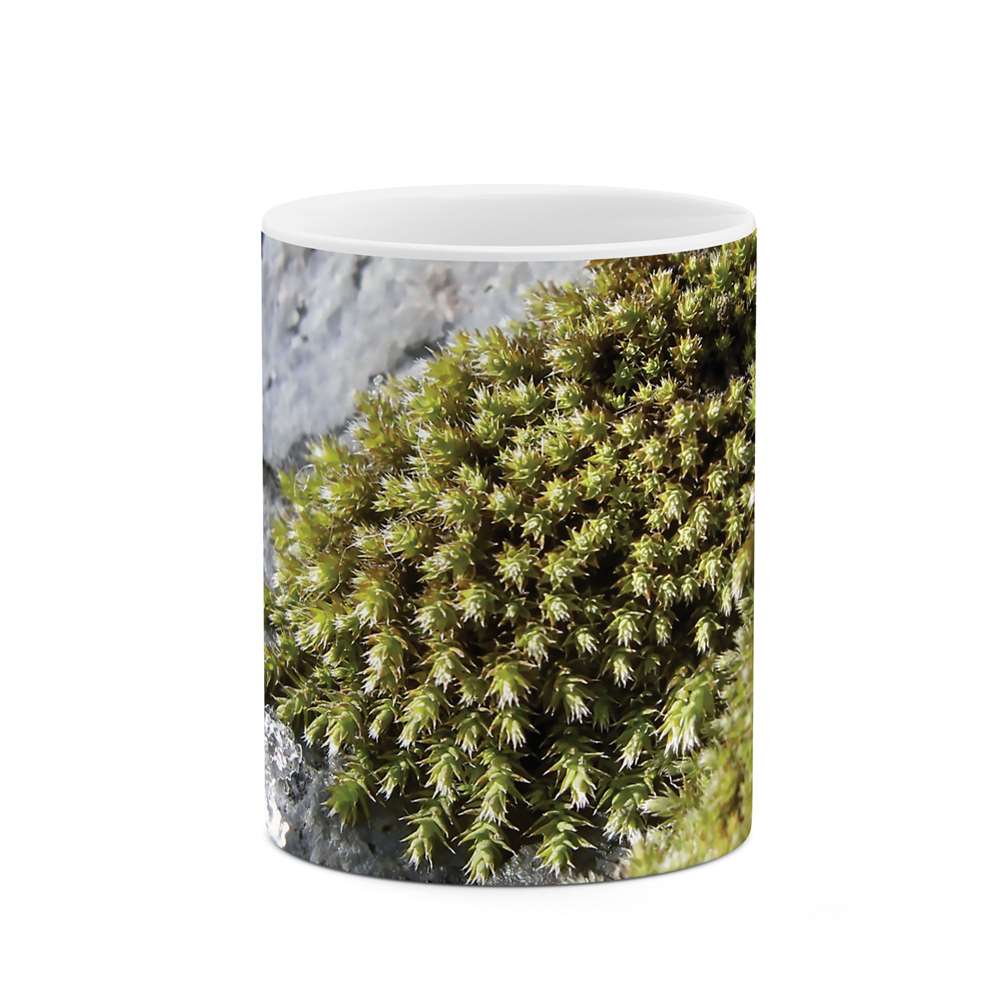 ماگ طرح طبیعت مدل mgs05267