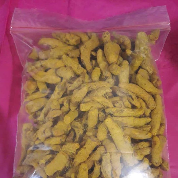 زرد چوبه قلم