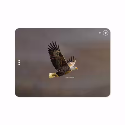برچسب پوششی ماهوت مدل Eagle مناسب برای تبلت اپل iPad Pro 11 2018 A1934
