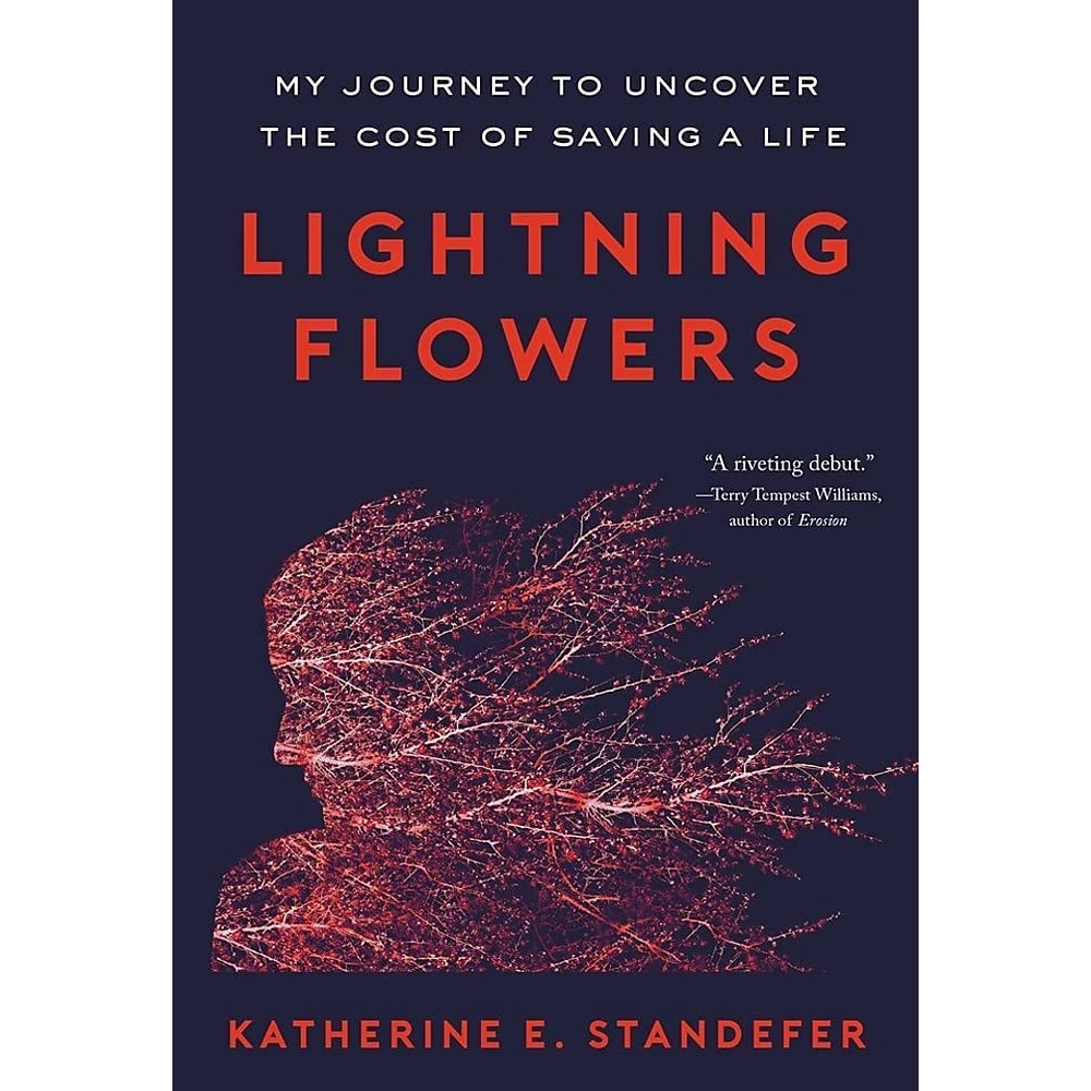 کتاب Lightning Flowers اثر Katherine E. Standefer انتشارات Little Brown Spark