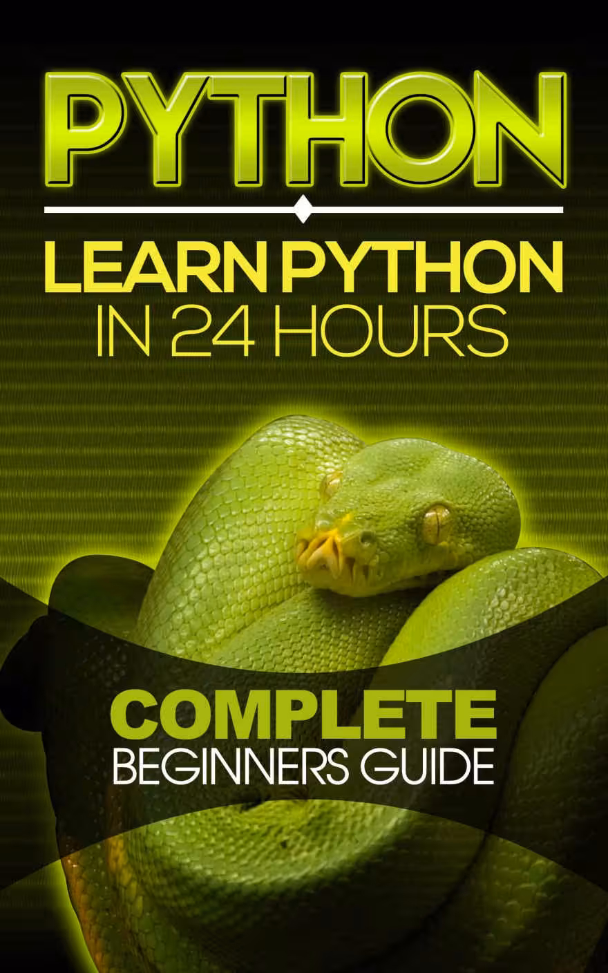 خرید و دانلود نسخه کامل کتاب Python: Learn Python in 24 Hours: Complete Beginners Guide