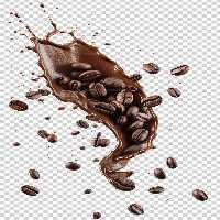 عکس PNG اسپلش دانه های قهوه و قهوه | گرافیک با طعم تربچه