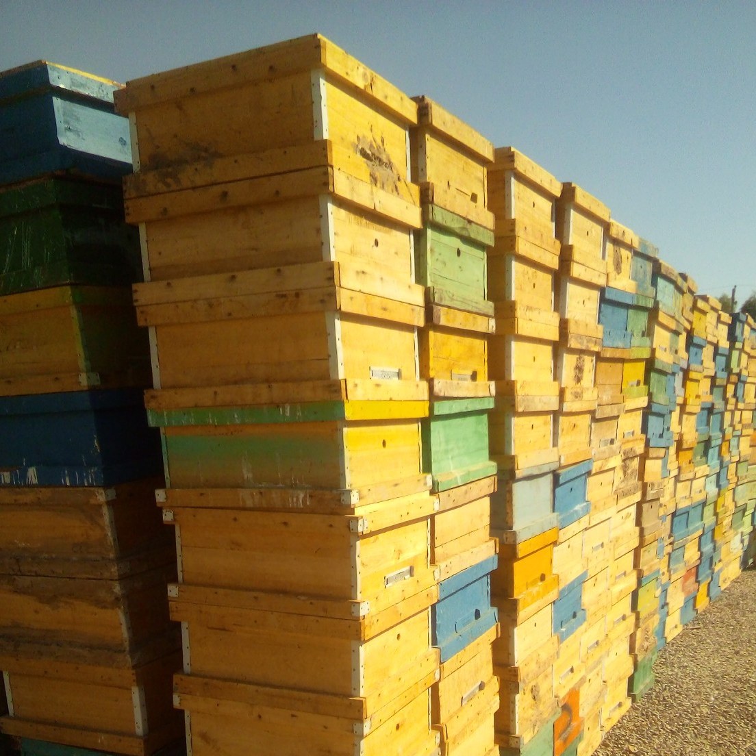عسل طبیعی مرکبات (عمده 100 کیلویی) بدون شکر و گرماندیده (پرولین 470)