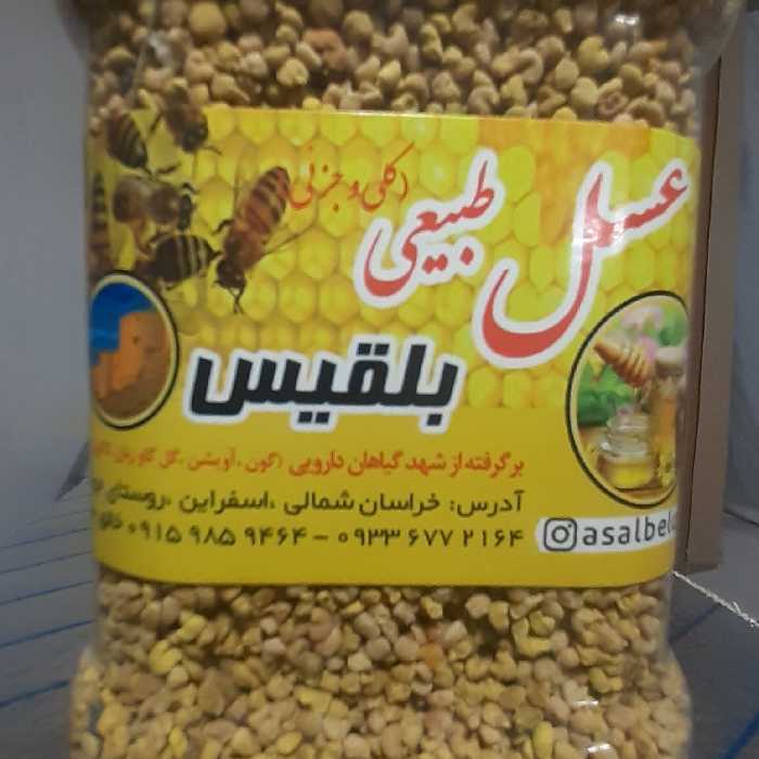 گرده گل بلقیس