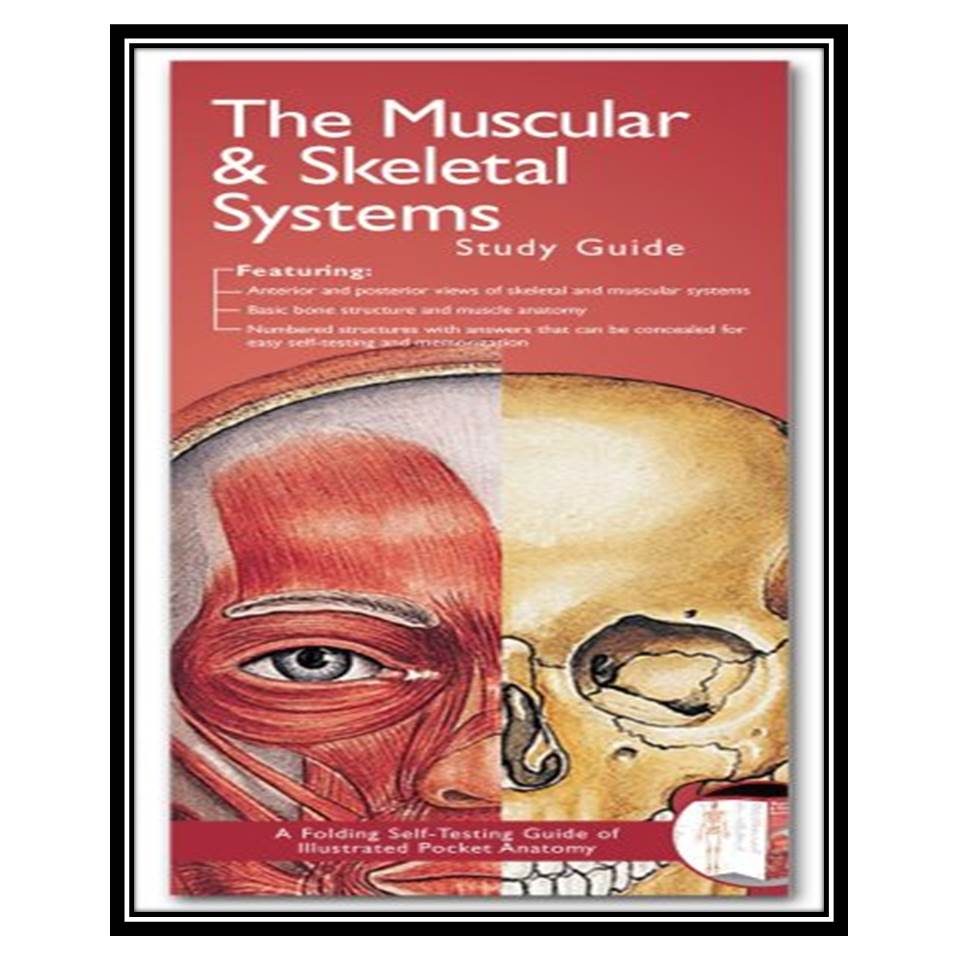 کتاب Anatomical Chart Company's Illustrated Pocket Anatomy: The Muscular & Skeletal Systems Study Guide اثر Anatomical Chart Company انتشارات مؤلفین طلایی