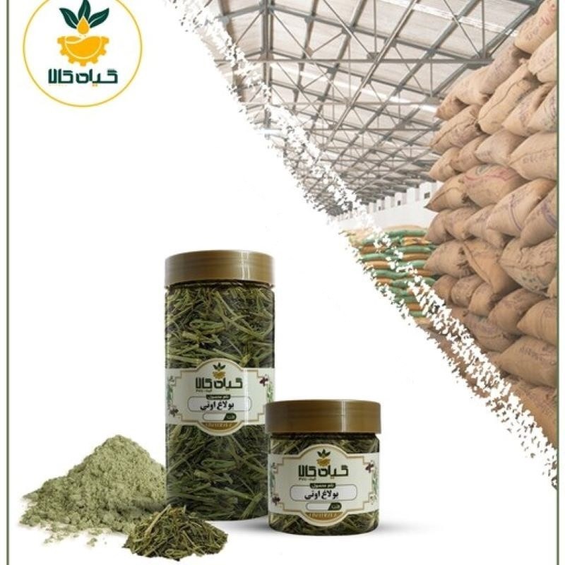  بولاغ اوتی با کیفیت عالی، بار امسالی و تازه(100 گرمی )