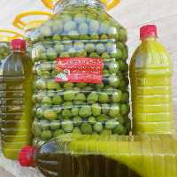 زیتون کنسروی درشت 7کیلویی 