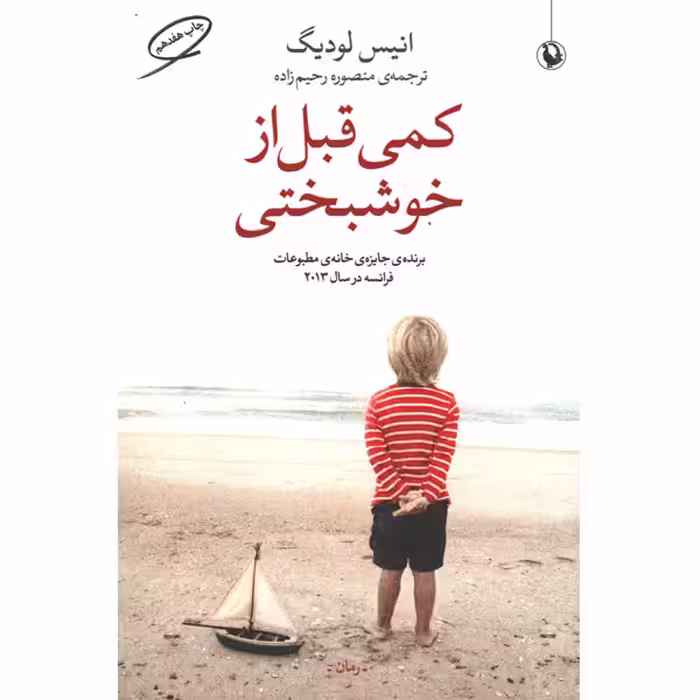 کتاب کمی قبل از خوشبختی اثر انیس لودیگ