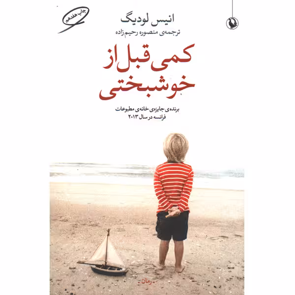 کتاب کمی قبل از خوشبختی اثر انیس لودیگ