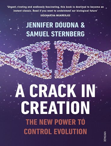 A crack in creation
