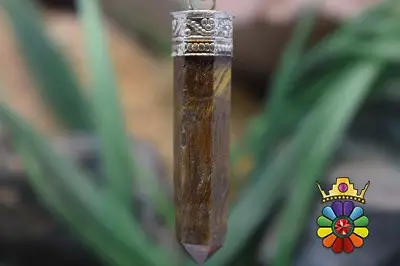 منشور چشم ببر