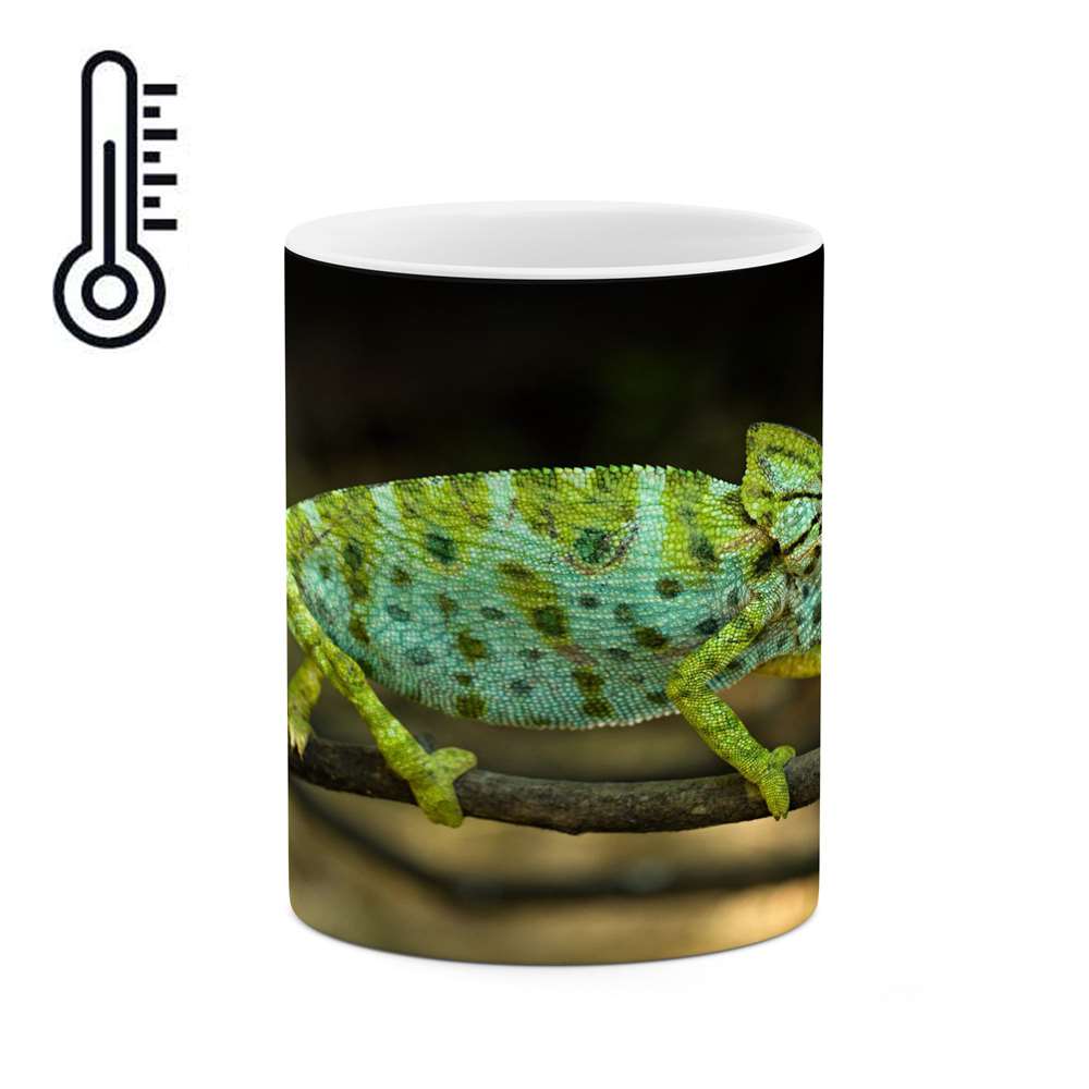 ماگ حرارتی کاکتی طرح مارمولک مدل mgh17409